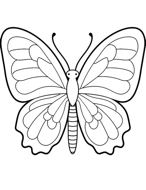 How to Choose the Best Free Butterfly Coloring Sheets for Your Needs