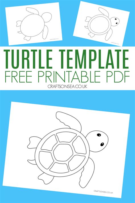 How to Choose the Best Sea Turtle Printable for Your Needs