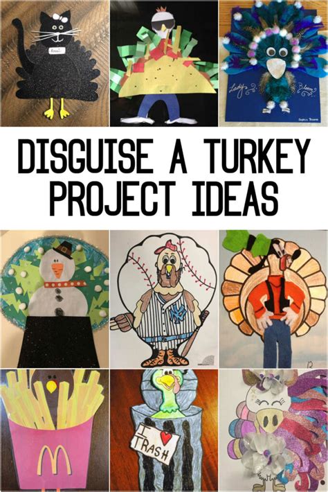 Ingenious Disguises: Categories for Your Feathered Friend