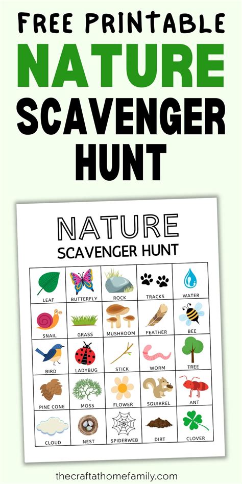 Interactive Adventures: Scavenger Hunts & Bingo