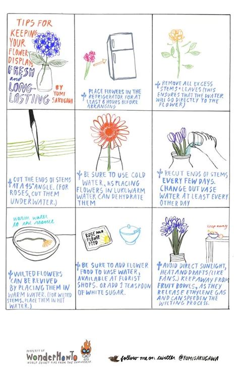 Keeping It Fresh: Care Tips for Lasting Designs