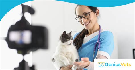 Learning & Laughter: Educational Kitten Pages