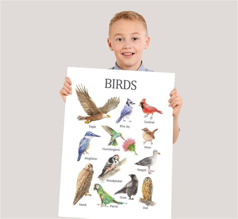 Learning Takes Flight: Educational Bird Templates for Kids & Classrooms