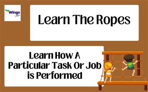 Learning the Ropes: Educational & Beginner-Friendly Boards