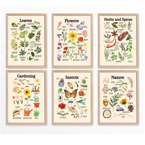 Learning Through Nature: Educational Uses for Printable Leaves