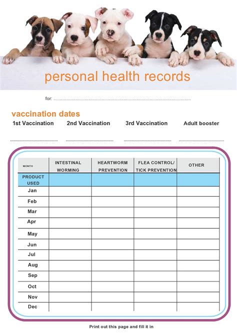 Long-Term Care: Storing and Updating Your Puppy's Records