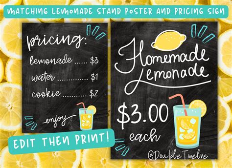 Marketing & Call-to-Action Focused Lemonade Signs: Selling Sweetly