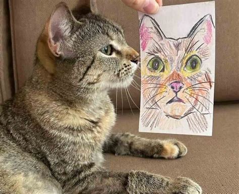 Mastering the Meow-sterpiece: Advanced Techniques for Stunning Kitten Coloring