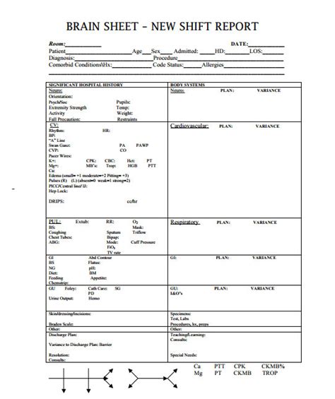 Mastering Your Shift: Advanced Strategies for Brain Sheet Use