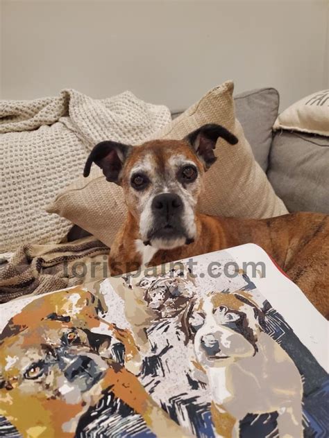Mindful Moo-ments: The Therapeutic Power of Cow Template Coloring