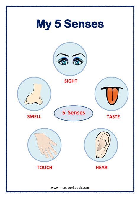 Mindfulness & Sensory Printables: Engaging the Senses for Serenity