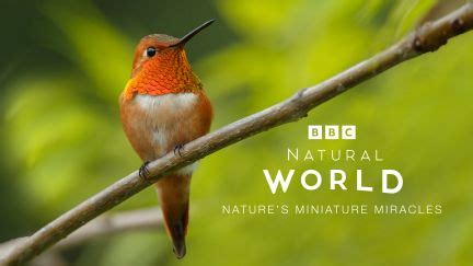 Miniature Miracles: Small & Quick Unicorn Sews for Instant Gratification