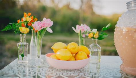 Modern & Minimalist Lemonade Stand Chic: Sleek Sips