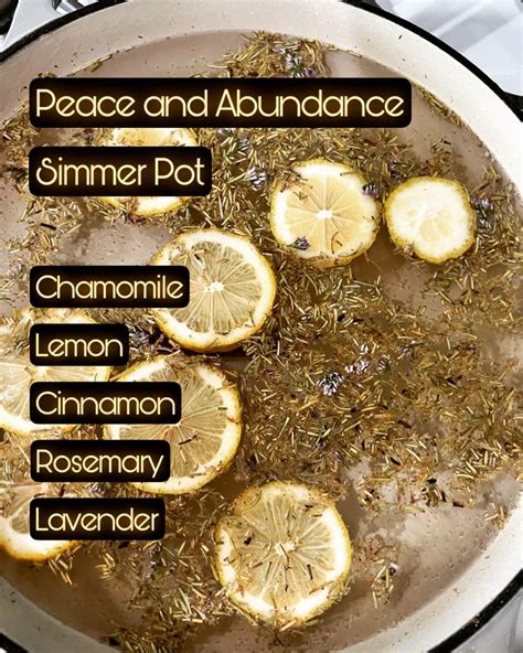 Mood-Boosting Brews: Simmer Pots for Specific Intentions & Well-being
