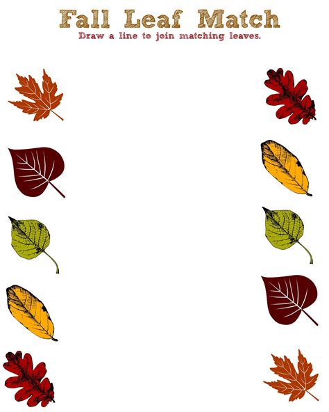 Nature & Outdoor Explorers: Printable Fall Activity Sheets