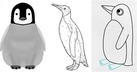 Nature & Outdoors: Drawing from the Wild Side