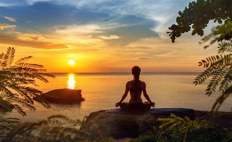 Nature & Serenity: Bringing the Outdoors In