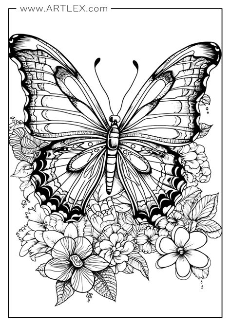 Nature's Canvas: Realistic Butterflies to Bring to Life