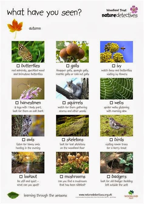 Nature's Detectives: Identification & Tracking Guides