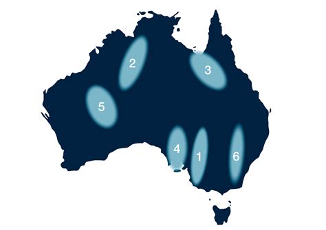 Navigating the Regions: Detailed Regional Maps for Deeper Dives