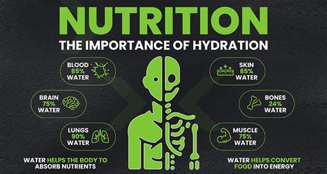 Nourishment & Comfort: Meals, Hydration & Environment