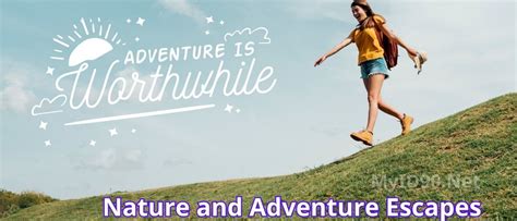 Outdoor Adventures & Nature Escapes: Reconnecting with the Wild