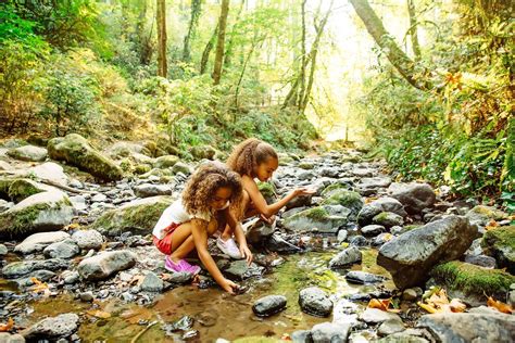 Outdoor & Nature Explorers: Bringing the Outside In (or Out!)