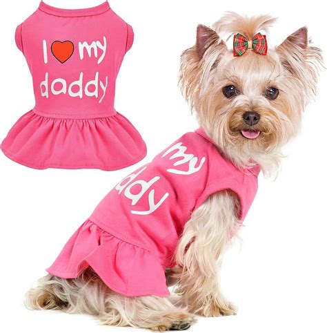 Pet & Companion Outfits: Dressing Up Their Friends