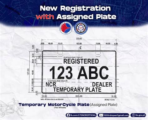 Printing & Displaying Your Temporary Plate Correctly (Don't Miss This!)