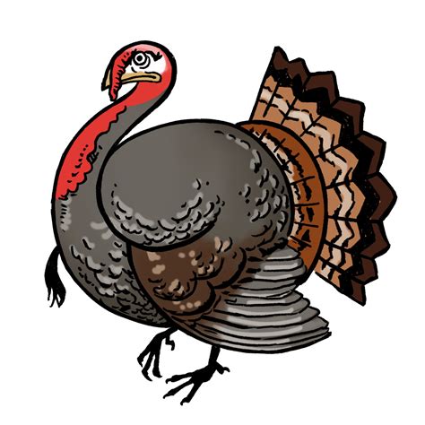 Professions & Passionate Pursuits: Turkeys on the Job