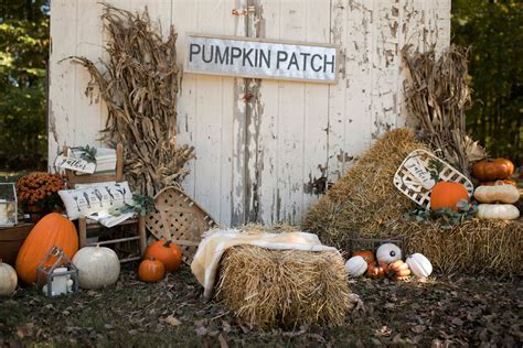 Pumpkin Patch & Farmhouse Favorites