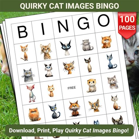 Quirky & Unexpected Finds Bingo