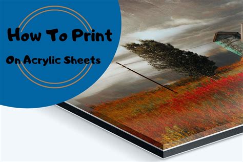 Ready to Dive In? Where to Find the Best Printable Acrylic Sheets