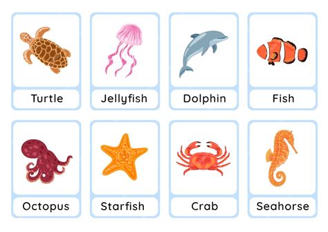 Realistic & Educational Fish Templates: Learning While Creating