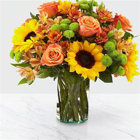 Seasonal Splendor: Flowers for Every Occasion