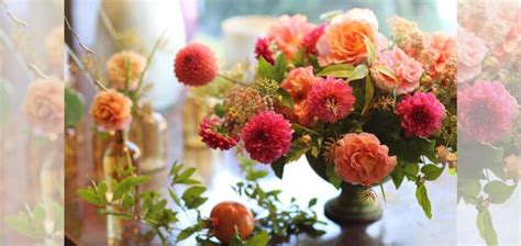 Seasonal Splendor: Sunflowers Through the Year