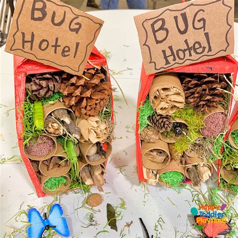 Seasonal & Themed Insect Crafts: From Spring Gardens to Halloween Haunts