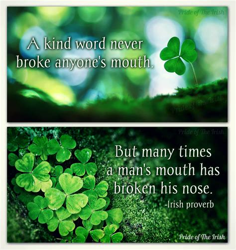 Shamrocks with Quotes & Sayings: For a Touch of Irish Wisdom