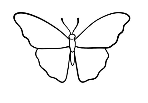 Simple & Beginner-Friendly Butterfly Outlines