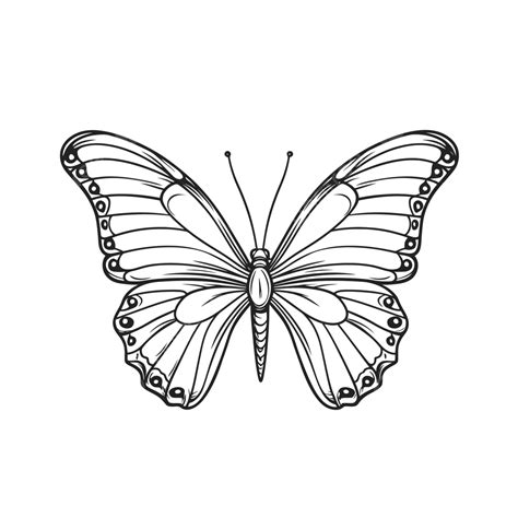 Simple & Bold Butterfly Outlines for Young Artists