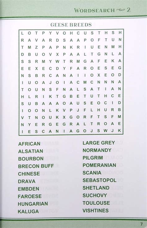 Soaring Through Words: Classic Word Searches