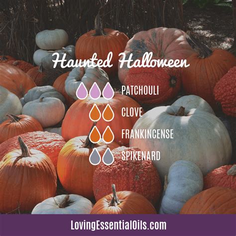 Spooky & Eerie Essentials: Classic Haunts Made Easy