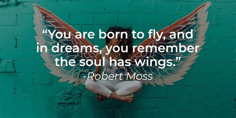 Spreading Your Wings: A Concluding Thought