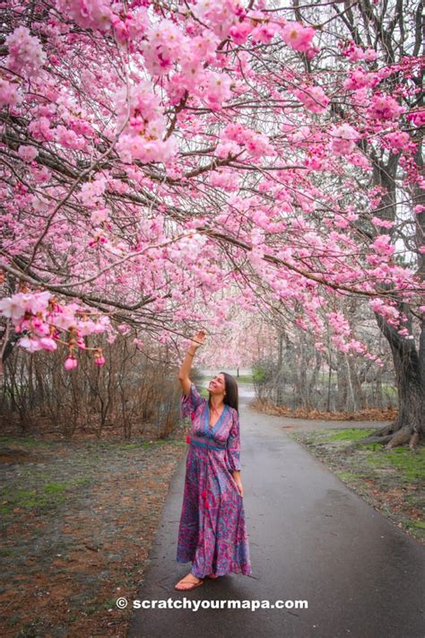 Springtime Spectacle: Nature-Inspired Printables