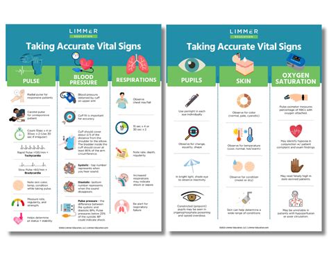 The Art of Observation: Interpreting Vital Signs Effectively