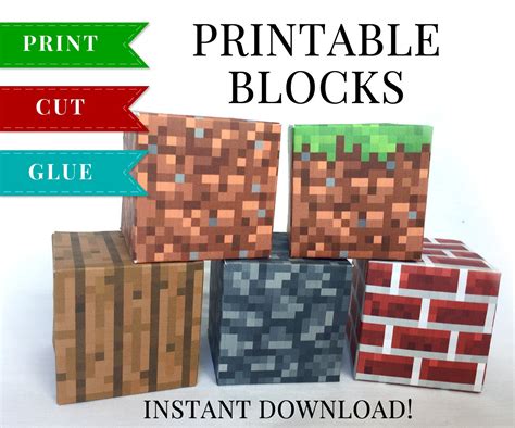 The Basics: Your First Minecraft Blocks Printable Adventure