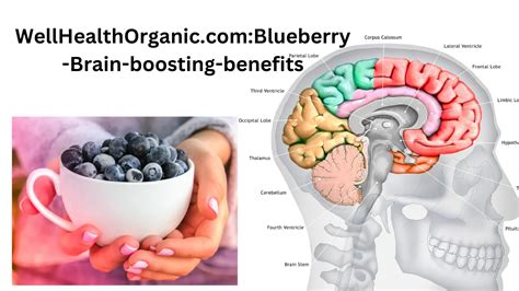The Brain-Boosting Benefits: Why Fill-It-Ins Are More Than Just Fun