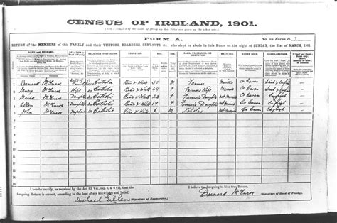 The Cornerstone: Ireland 1901 Census Printables
