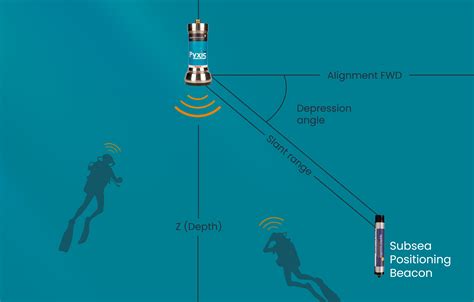 The "Deep Dive" Tracker: Advanced Data & Wellness Integration