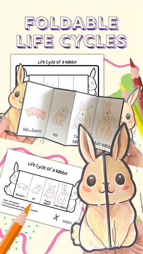 The Digital Den: Customizing Your Rabbit Printables